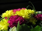 Kwiaty, Bukiet, Goździki, Margerytki
