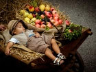 Śpiące, Dziecko, Owoce, Taczka