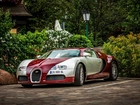 Bugatti Veyron, Auto, Posesja, Dom