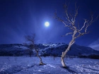 Zima, Góry, Drzewa, Księżyc