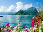 Morze, Góry, Kolorowe, Kwiaty