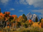 Jesień, Park, Narodowy, Wyoming