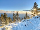 Zima, Jezioro, Tahoe, Promienie Słońca, Drzewa, Kalifornia