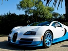 Bugatti Veyron, Palmy