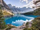 Kanada, Prowincja Alberta, Park Narodowy Banff, Góry, Jezioro Moraine, Las