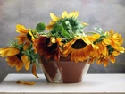Słoneczniki, Reprodukcja, Obrazu