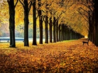 Jesień, Park, Aleja, Ławki, Liście, Drzewa