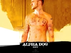 Justin Timberlake, Alpha Dog