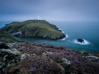 Park, Narodowy, Pembrokeshire Coast, Wybrzeże, Latarnia, Morska, Wrzosy, Walia, Wielka, Brytania