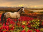 Koń, Kwiaty, Góry