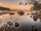 jezioro, Kamienie, Trawa, Drzewa, Mgła