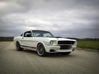 Ford Mustang Blizzard