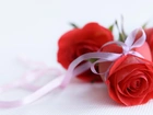 Róża, Kwiaty, Walentynki, Imieninu