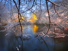 Park, Staw, Zima, Drzewa, Gałęzie