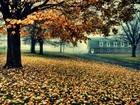 Jesień, Dom, Mgła, Drzewa