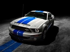 Ford Shelby, GT500