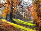 Park, Poranek, Przebijające Światło, Jesień