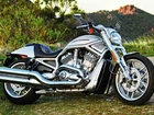 Harley-Davidson, V-Rod