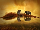 Słonie, Wodopój, Widnokrąg, Tajlandia