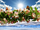 Wiosna, Kwiaty, Drzewo owocowe, Ptaki, Niebo, Słońce