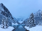 Kanada, Prowincja Alberta, Park Narodowy Banff, Góry, Jezioro Lake Louise, Zima, Świerki