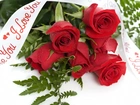 Czerwone, Róże, Napis, Miłość