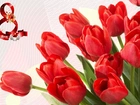 Dzień Kobiet, Tulipany