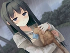 Dziewczyna, Kot, Deszcz, Manga, Anime