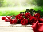 Róże, Czerwone, Wiązanka, Rozmycie