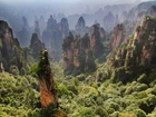 Zhangjiajie National Forest Park, Hunan, Chiny, Las, Skały