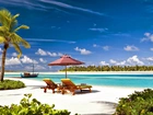 Laguna, Plaża, Palmy, Leżaki, Malediwy