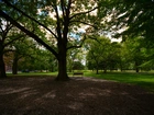 Queens park, Toronto