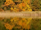 Jesień, Jezioro, Drzewa, Odbicie