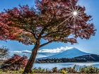 Jesień, Jezioro, Drzewa, Promienie, Słońca, Góra, Fuji, Japonia