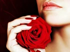 Kobieta, Dłoń, Róża