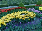 Flora, Hortulus, Kwiaty, Ogród