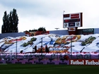 Stadion, murawa, duża, flaga