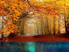 Park, Drzewa, Liście, Rzeka, Jesień