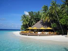 Morze, Plaża, Palmy, Restauracja, Malediwy