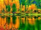 Las, Jezioro, Kolorowe, Liście