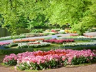 Holandia, Keukenhof, Park, Staw, Kwiaty, Wiosna