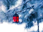 Zima, Ośnieżone Drzewo, Lampion, Świąteczny