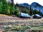 Polska, Tatry, Góry, Domki, Domy, Las