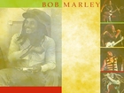 Bob Marley, Gitara, Mikrofon