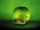 Jabłko, Akwarium, Grafika