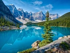 Góry, Lasy, Jezioro, Skały, Banff, Kanada