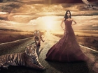 Droga, Kobieta, Suknia, Tygrysy