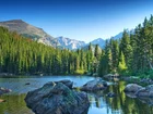 Góry, Jezioro, Las, Skałki, Jasper, National, Park, Alberta