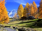 Jesień, Drzewa, Góry, Wzgórza, Domek, Kamienie,Droga
