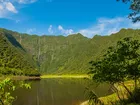 Afryka, Góry, Francuska, Wyspa Reunion, Jezioro Grand Étang, Drzewa